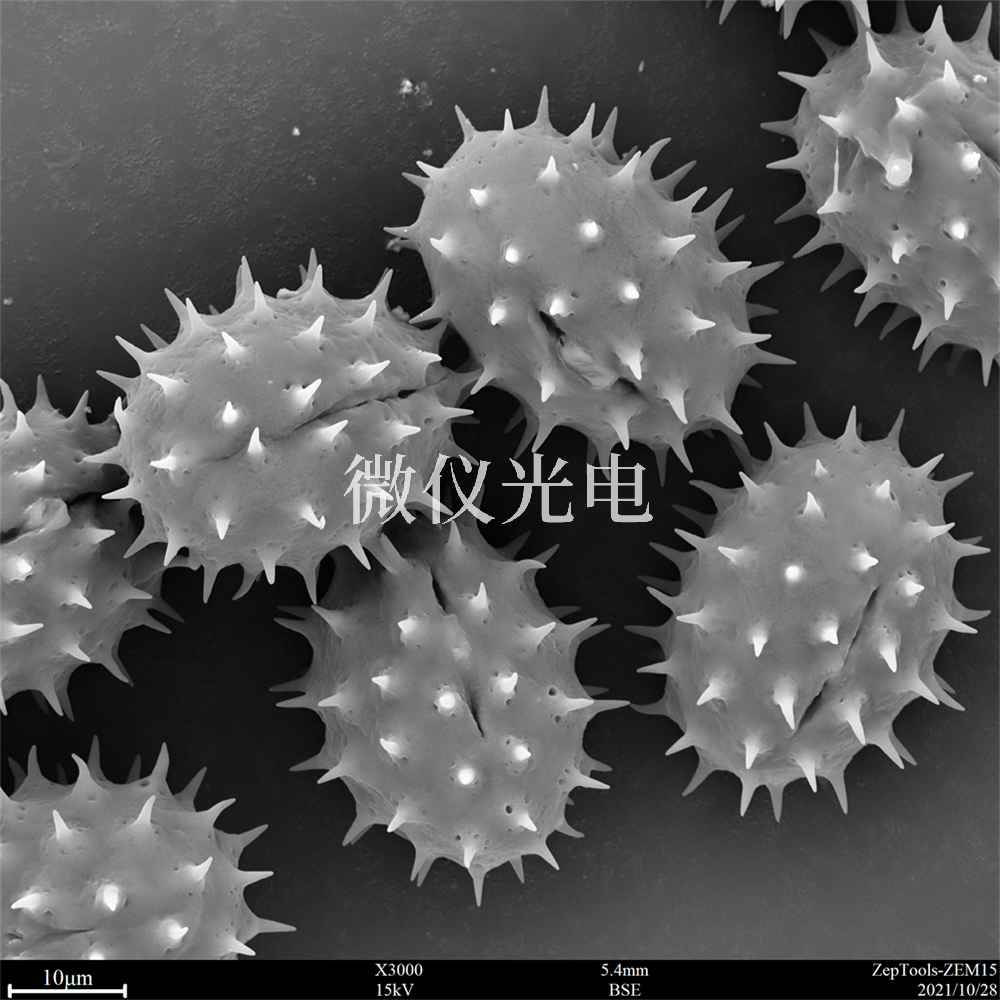 掃描電鏡測樣，要注意什么？